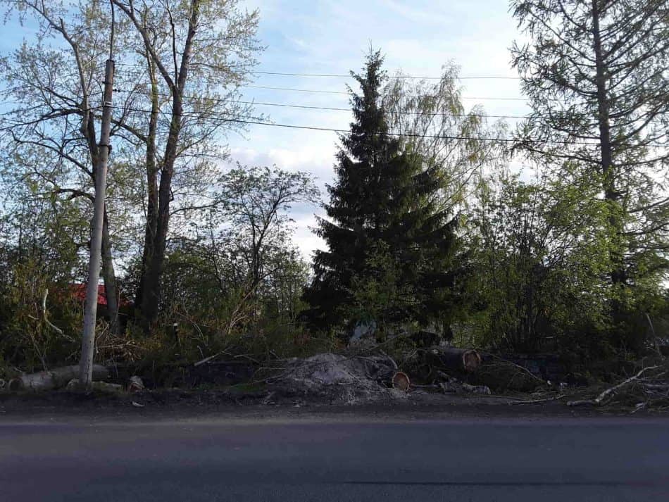 Так выглядит кладбище со стороны автодороги Петрозаводск-Гирвас. Указателя на кладбище нет. Фото Екатерины Лобастовой